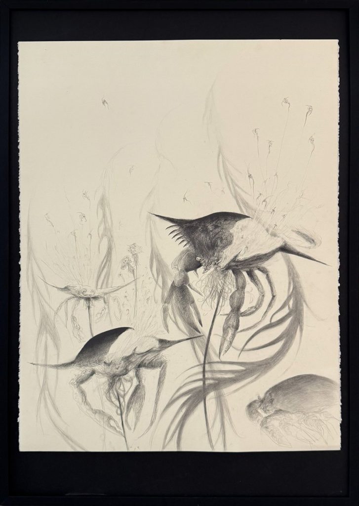 Kristin Middleton (MFA 2025)