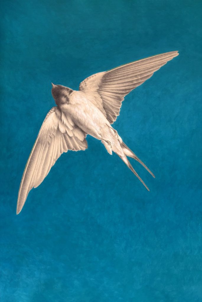 Wade Schuman