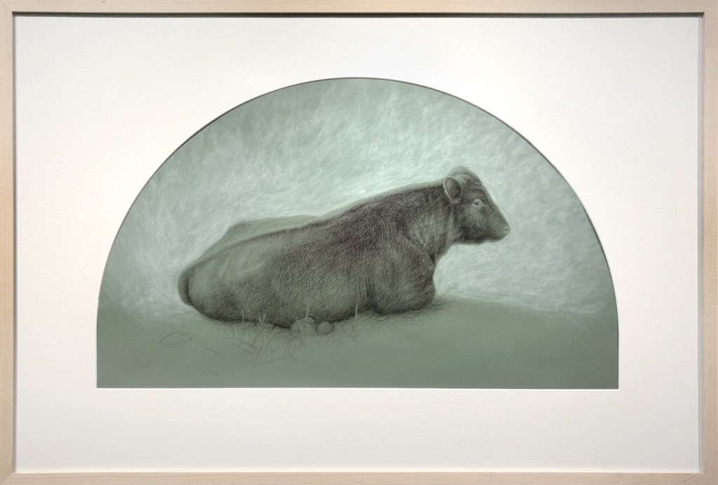 Wade Schuman
