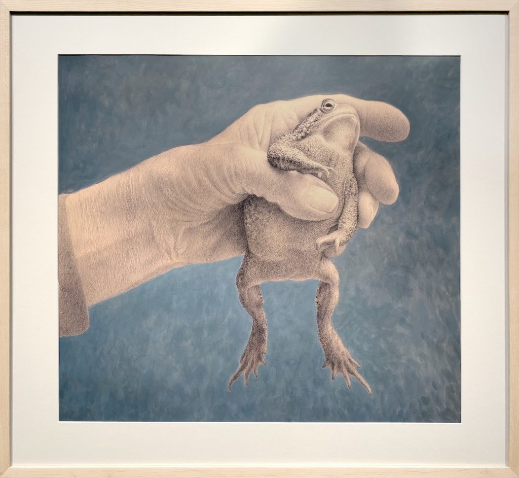 Wade Schuman